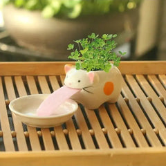 Cute Ceramic Cartoon Succulent Pots