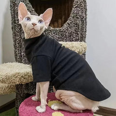 Warm Winter Clothes for Sphynx Cats