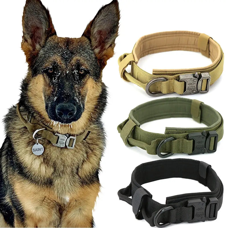 Collar For Dogs