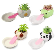 Cute Ceramic Cartoon Succulent Pots