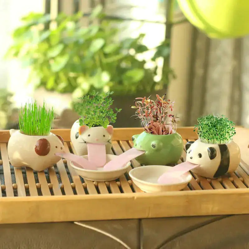 Cute Ceramic Cartoon Succulent Pots