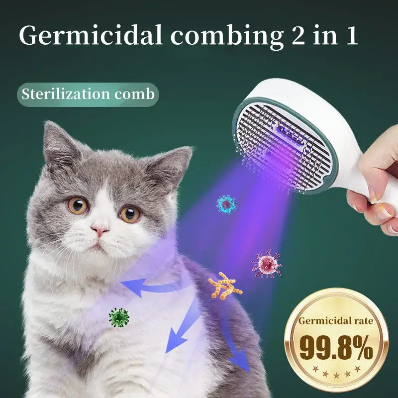 Cat anCatsd Dog Hair Removal Brush